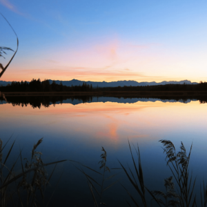 Cottage Season: Know Before You Go