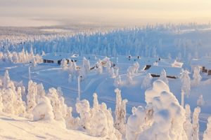 Hypothermia & Frostbite: Recognizing Symptoms and Treatment
