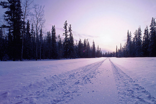 snow covered road