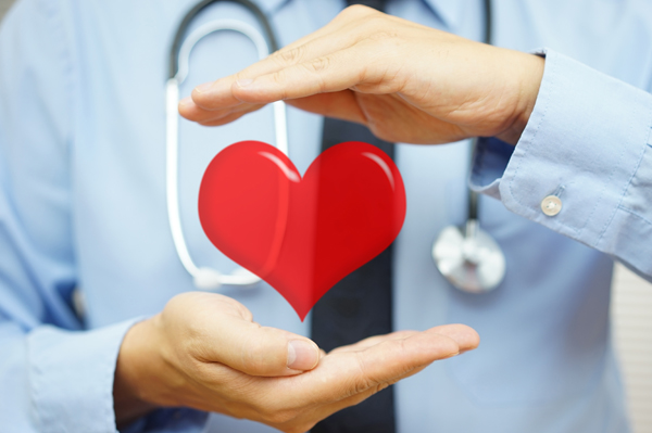 Doctor's hands holding heart