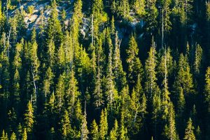 Spring Hiking Checklist