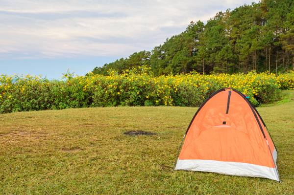 Tent in Canadian Wilderness