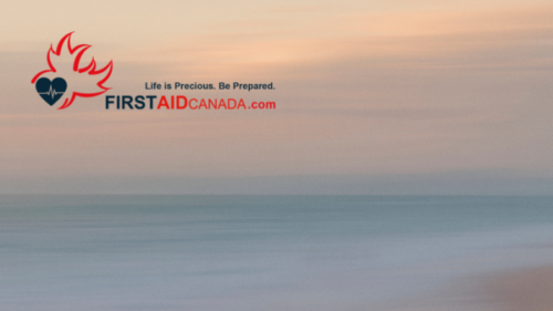 Surviving the Heat: Understanding the Risks to Your Heart