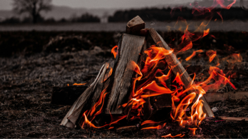 Essential Safety Tips: What to Do When a Fire Breaks Out in Your Home