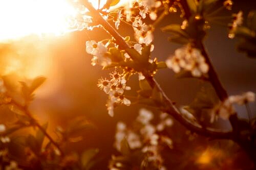 Spring Into Action: Embrace the Season While Protecting Your Heart